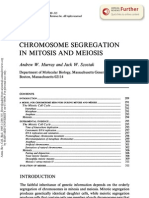 Chromosome Segregation in Mitosis and Meiosis