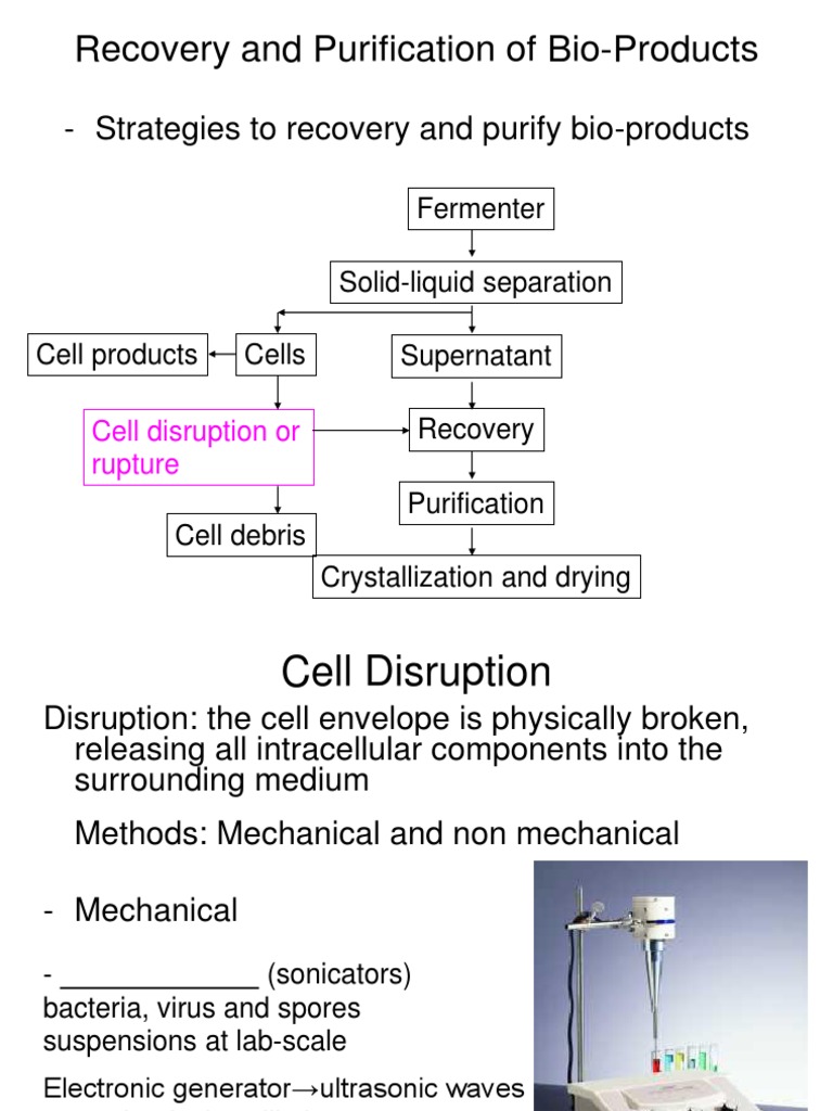 Lec5.Recovery and Purification of Fermentation Products - 1587813483?v=1