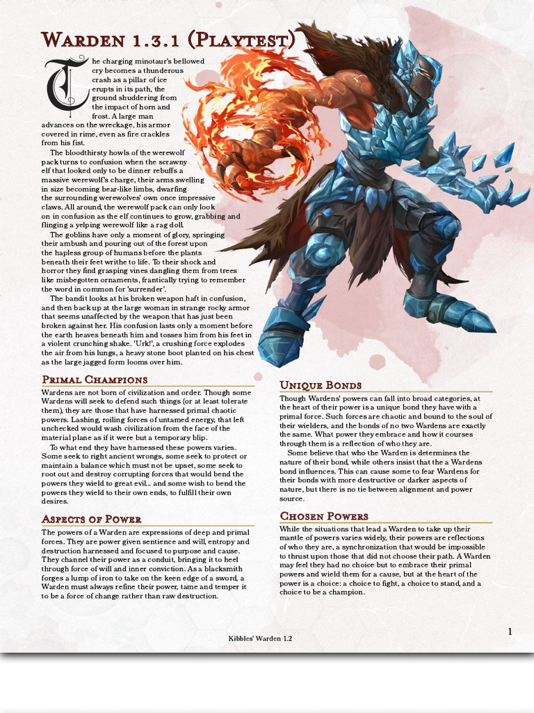 Warden Class Overview and Features | PDF