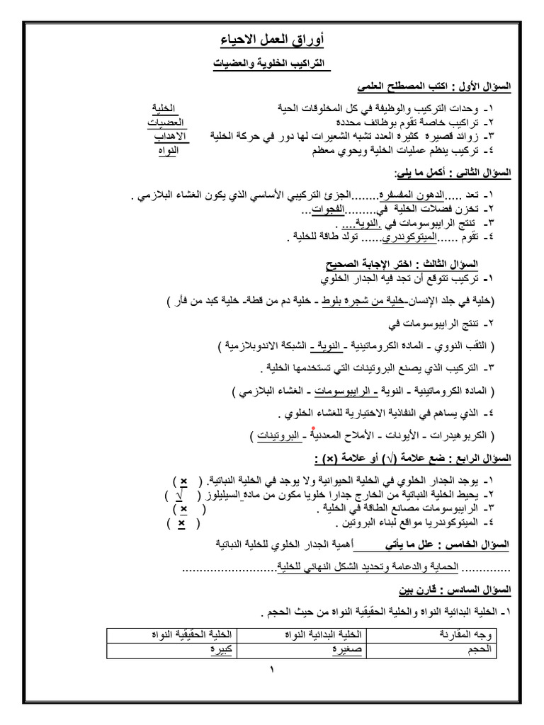 حل-المذكره 2-3ث | PDF
