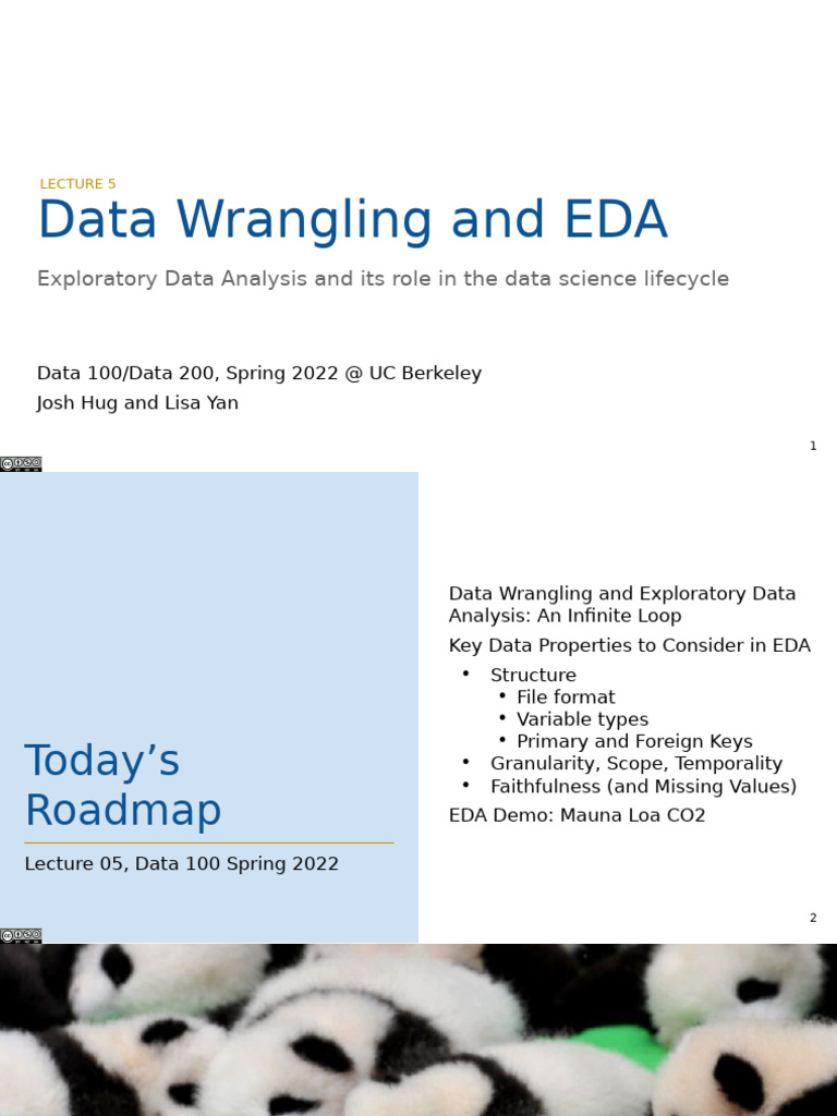 Data Wrangling and EDA Overview | PDF | Comma Separated Values | Data
