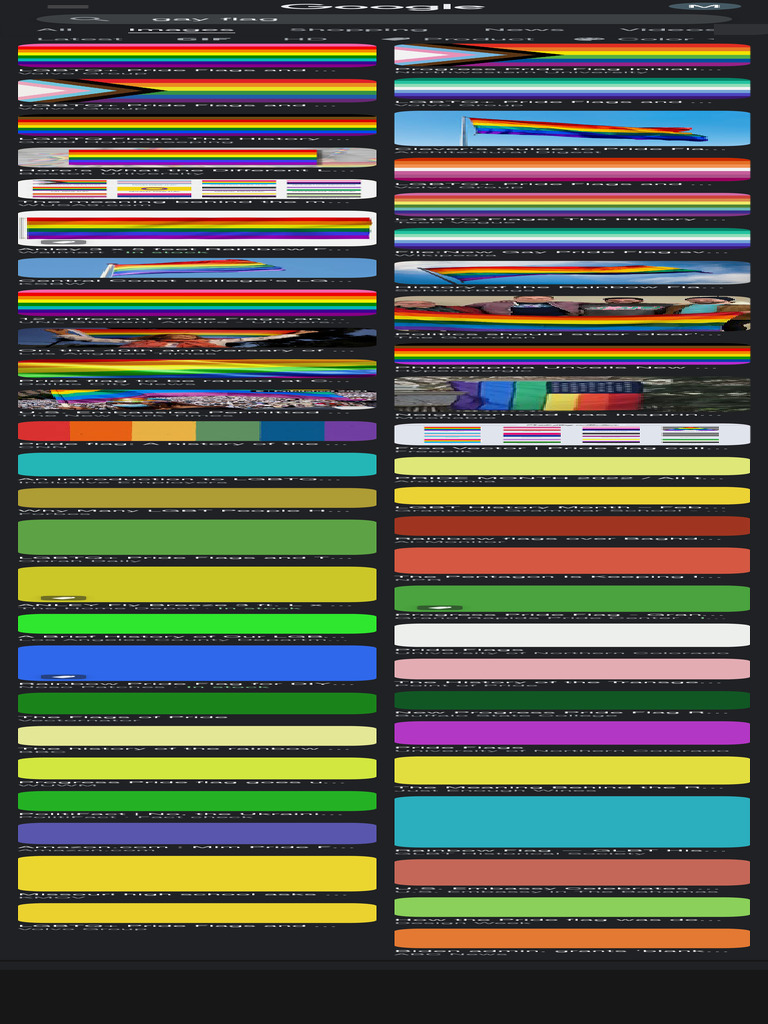 History and Meaning of Pride Flags | PDF