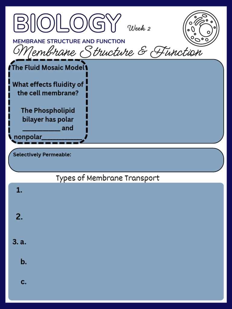 Membrane Structure & Function | PDF | Cell Membrane | Cell (Biology)