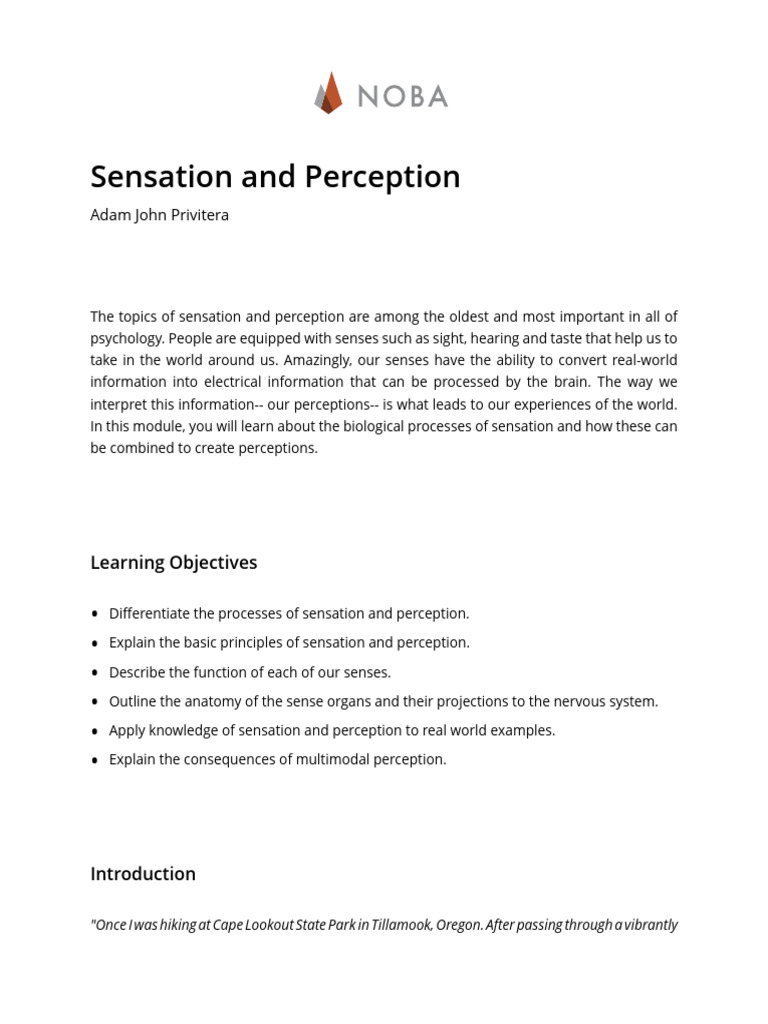 Understanding Sensation and Perception | PDF | Senses | Perception