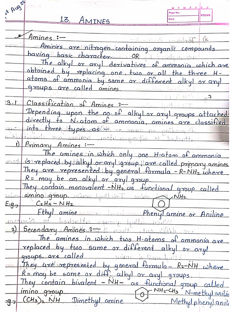 Amines Notes | PDF