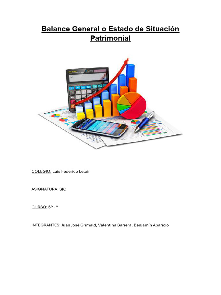 Balance General o Estado de Situación Patrimonial | PDF | Hoja de ...