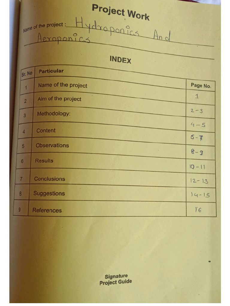 CHP 5 Notes | PDF