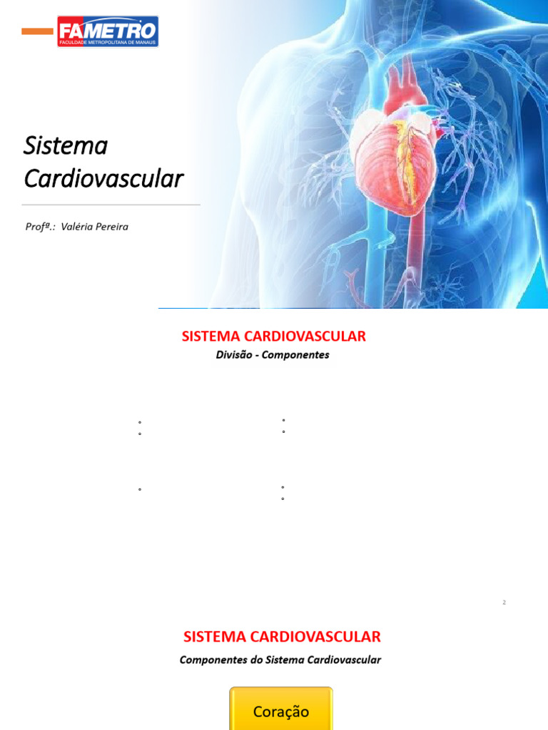 Estrutura e Funções do Sistema Cardiovascular | PDF | Coração | Sistema ...