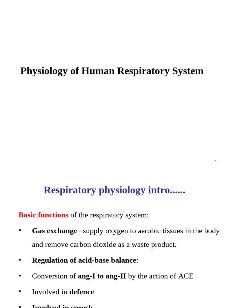 Human Respiratory System Physiology | PDF | Respiratory Tract | Lung