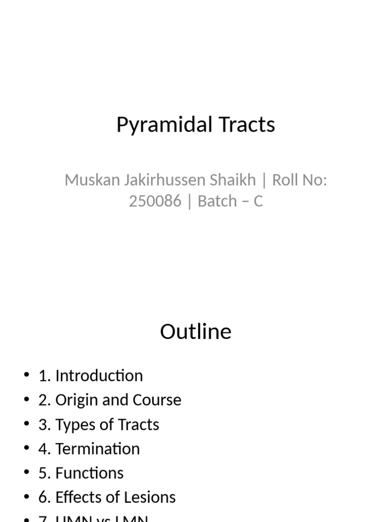 Understanding Pyramidal Tracts Functions | PDF