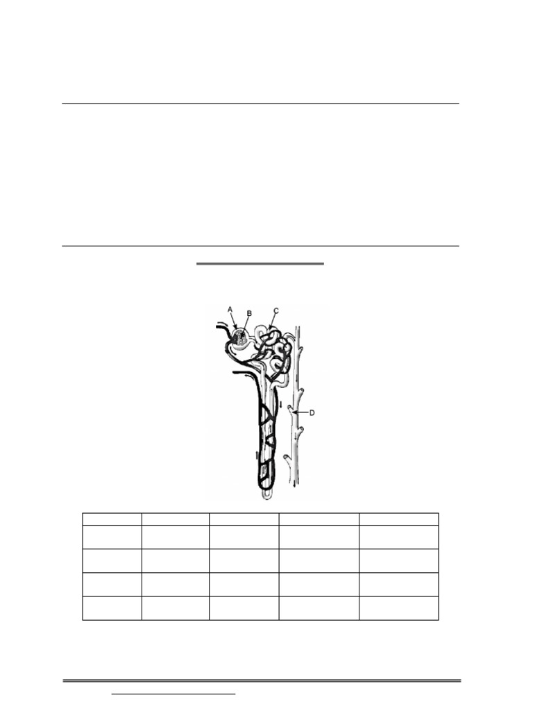 Science Class X Sample Paper Test 02 For Board Exam 2026 QP | PDF ...