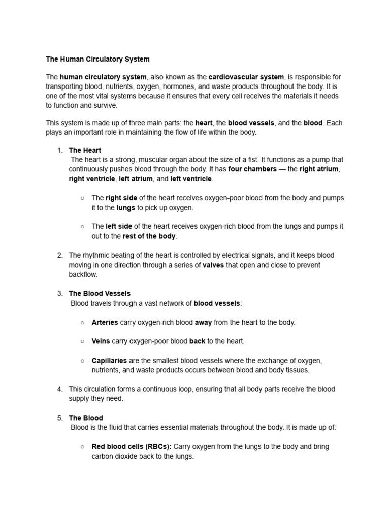Overview of the Human Circulatory System | PDF | Circulatory System | Blood