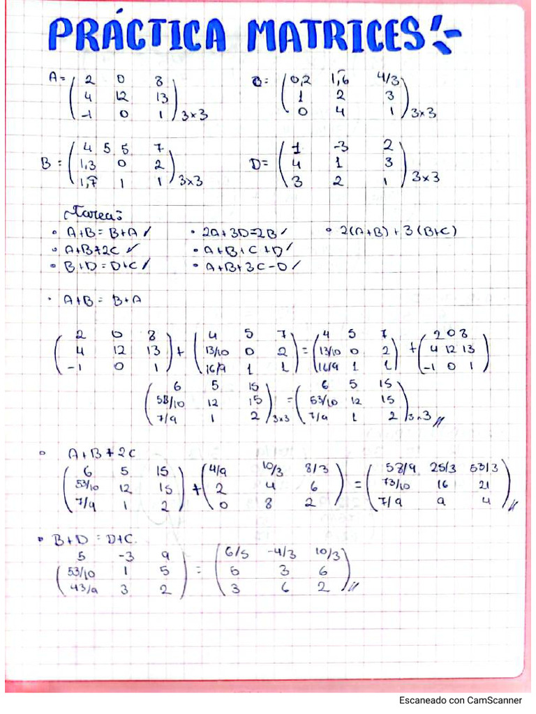 Matrices Practica | PDF