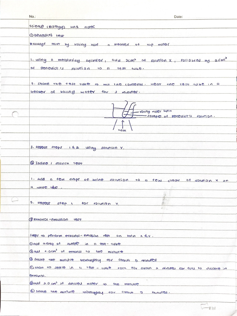 Bio Notes WA 2 | PDF