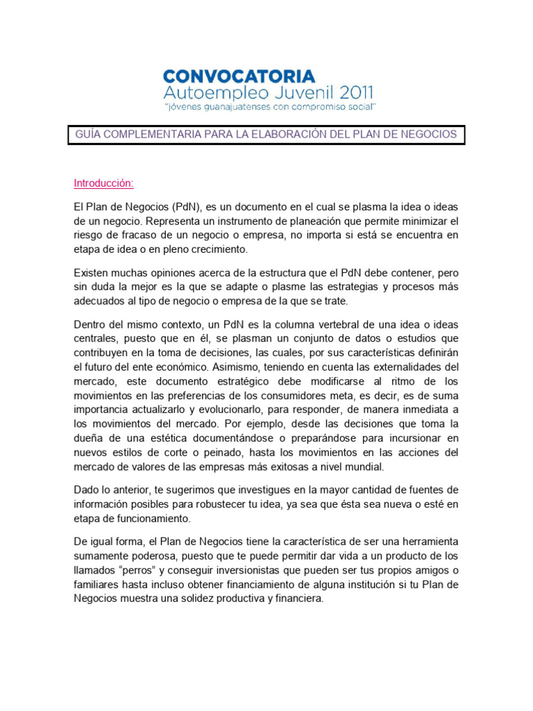 Guía para Elaborar un Plan de Negocios | PDF | Presupuesto | Marketing