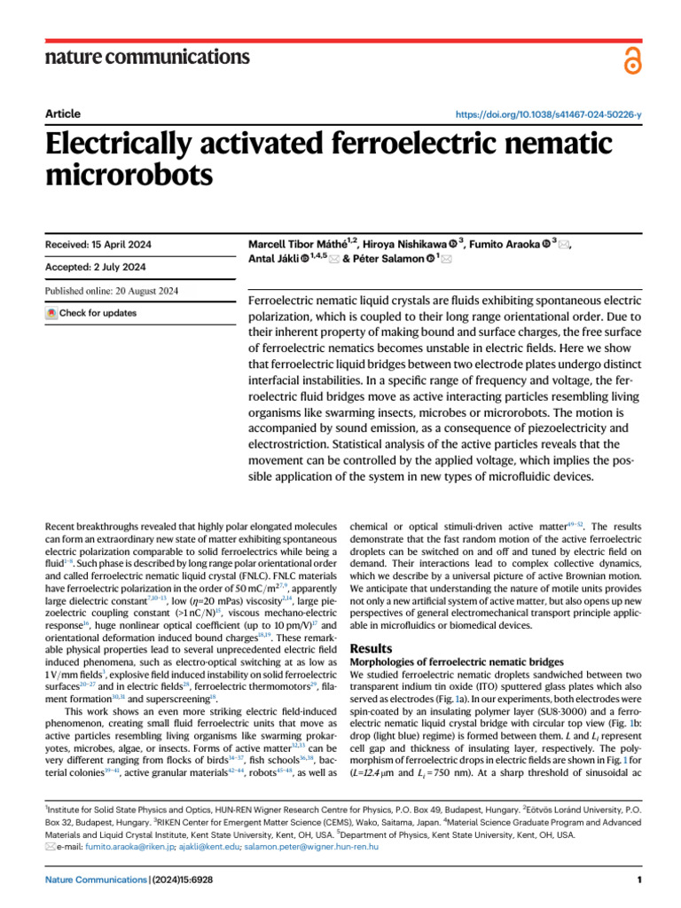 Active Motion in Ferroelectric Nematics | PDF | Liquid Crystal ...