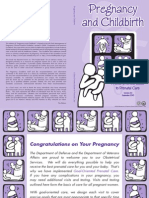 Pregnancy Childbirth