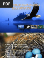 Download PenGurusAn Peka Sains Sekolah Rendah by mustakim260984 SN94803820 doc pdf