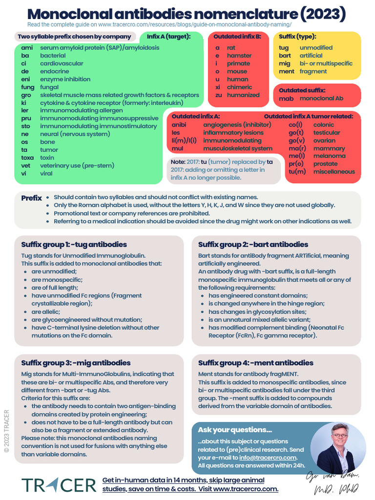 Monoclonal Antibody Naming Guide | PDF | Antibody | Immunology