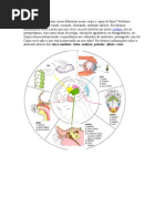 Você já reparou quantas coisas diferentes nosso corpo é capaz de fazer