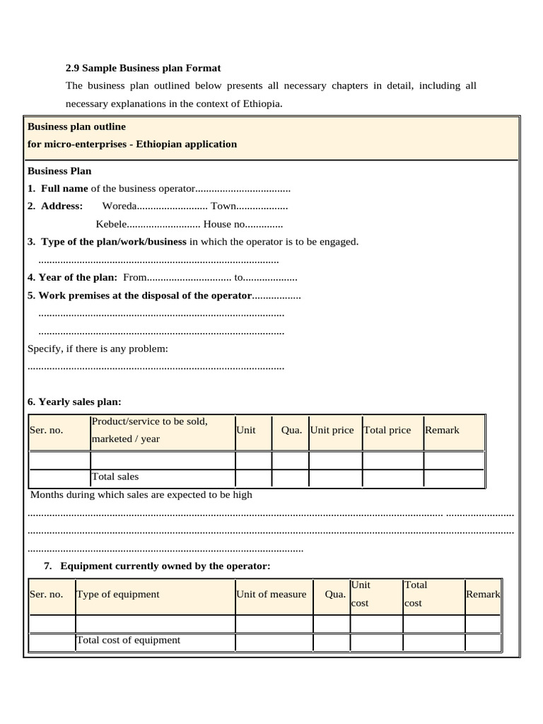 Sample Business Plan Format | PDF | Expense | Return On Investment