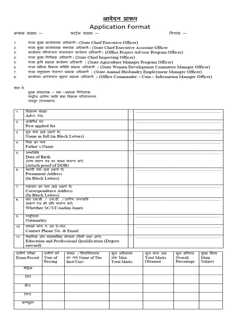 State Job Application Format | PDF