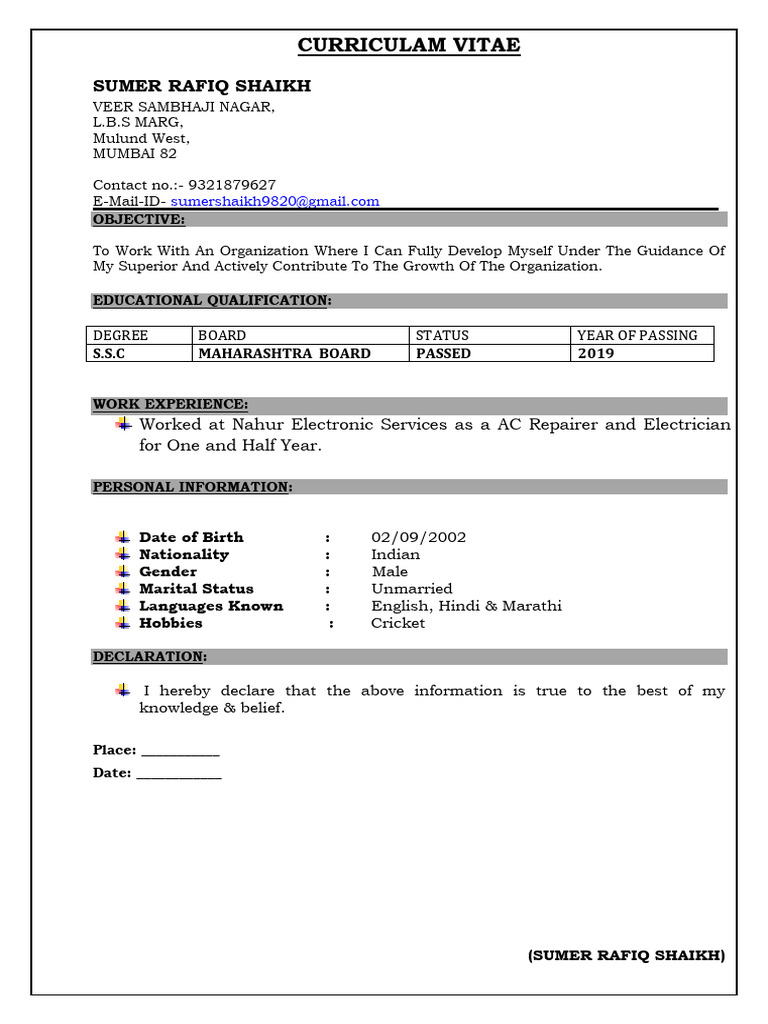 Sumer Shaikh's Professional CV | PDF