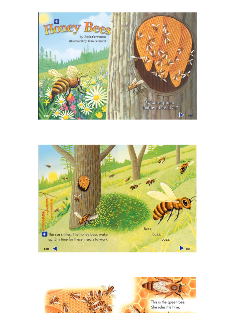 Honey Bees | PDF