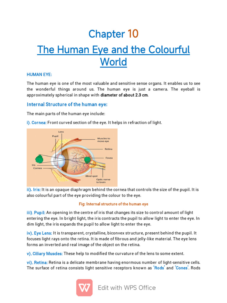 Chapter 10 Human Eye and Colourful World | PDF | Eye | Rainbow
