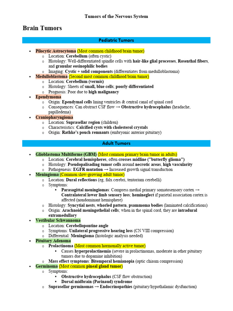Overview of Nervous System Tumors | PDF | Brain Tumor | Cerebellum