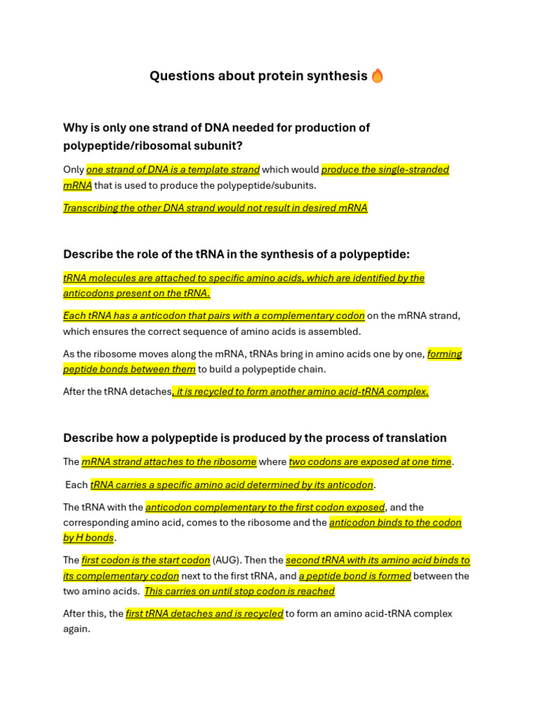 Qs About Protein Synthesis | PDF | Translation (Biology) | Messenger Rna