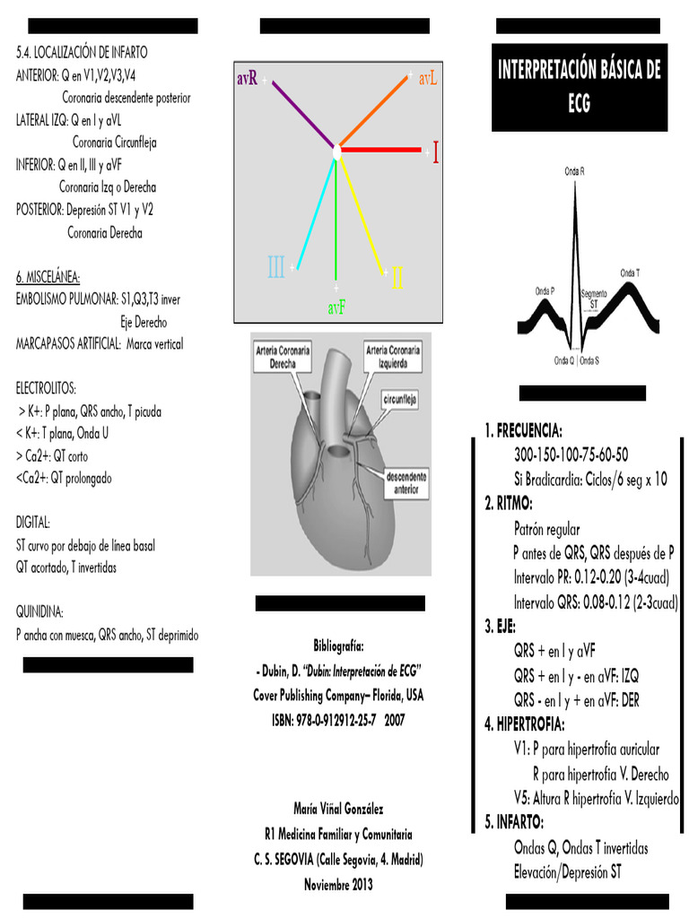 Guía de Interpretación de ECG Básica | PDF | Sistema cardiovascular ...