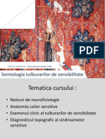 Semiologia Tulburarilor de Sensibilitate