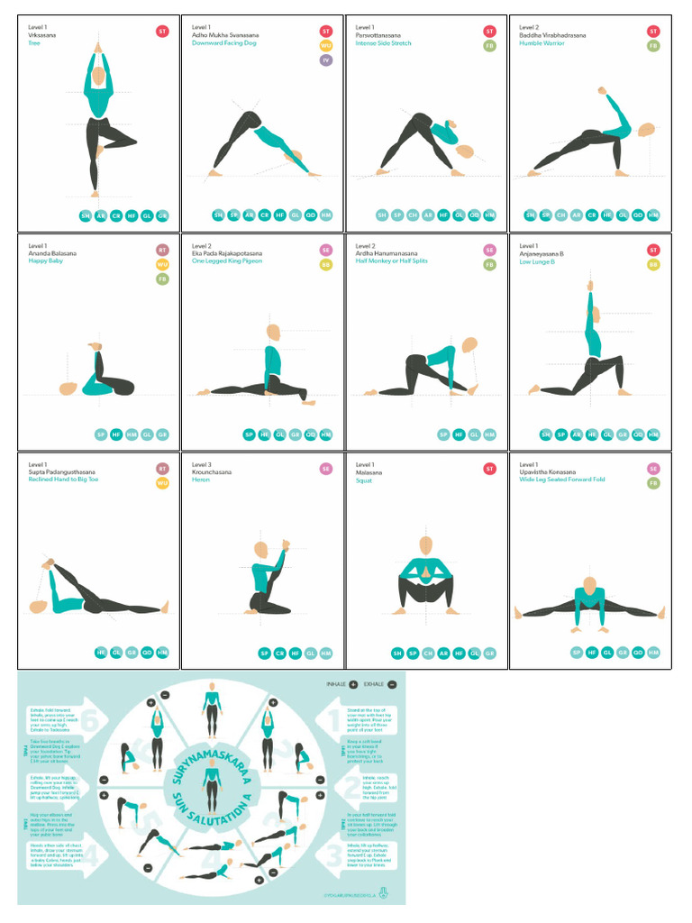 Asana | PDF