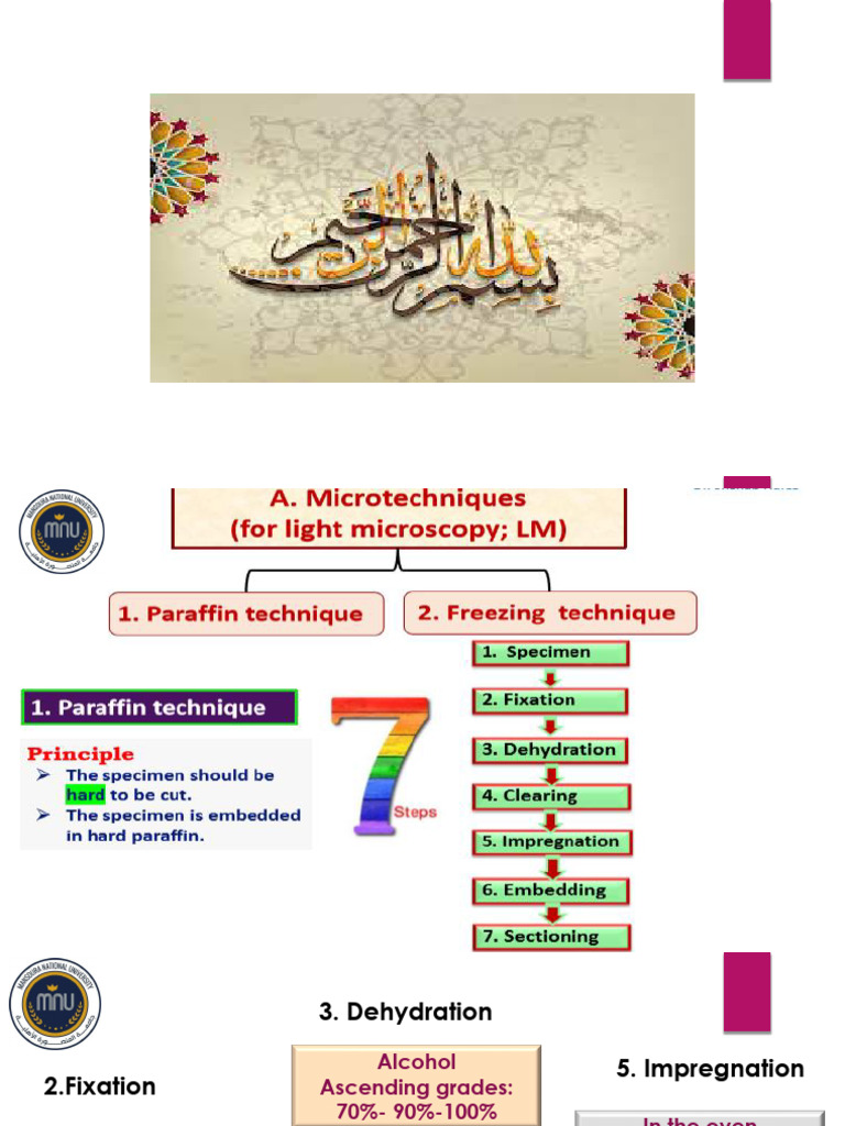 Microscopy Techniques and Fixation Methods | PDF