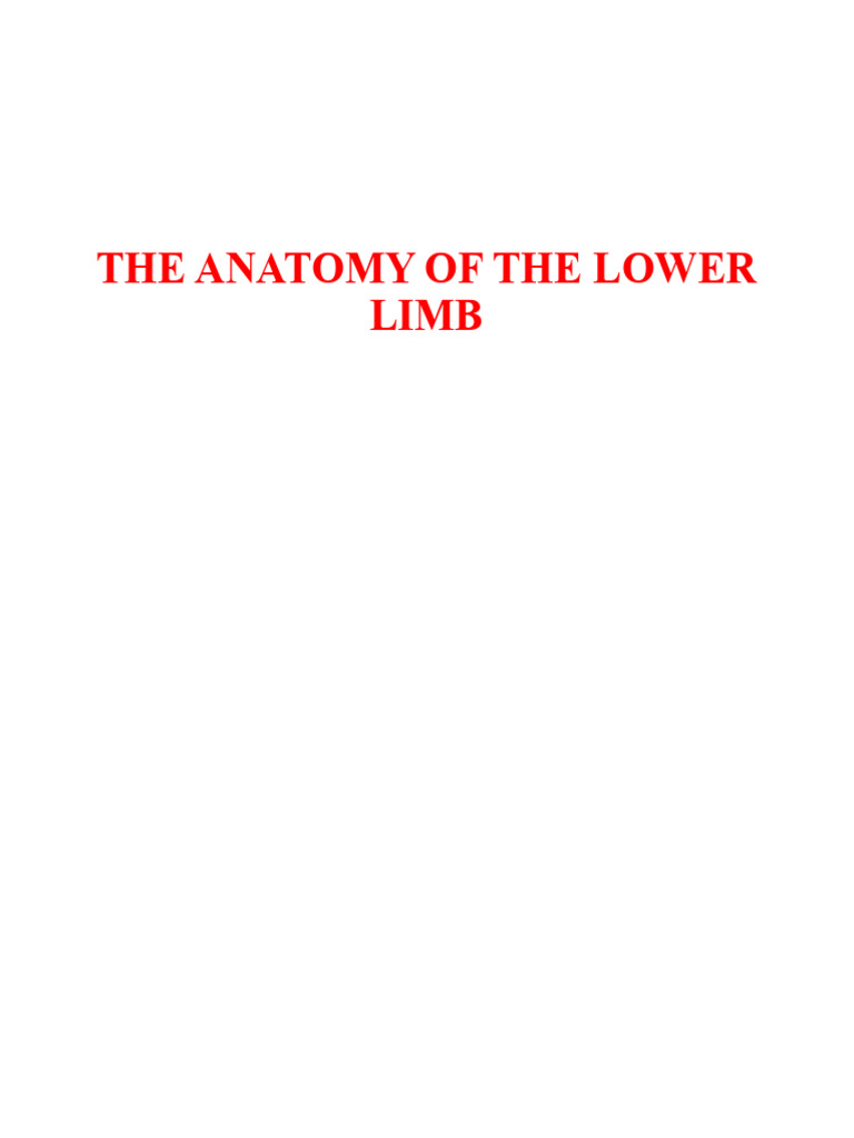 Lower Limb Anatomy Overview | PDF | Human Leg | Foot