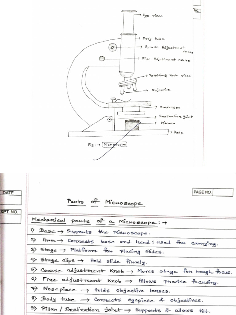Microscope Checked | PDF