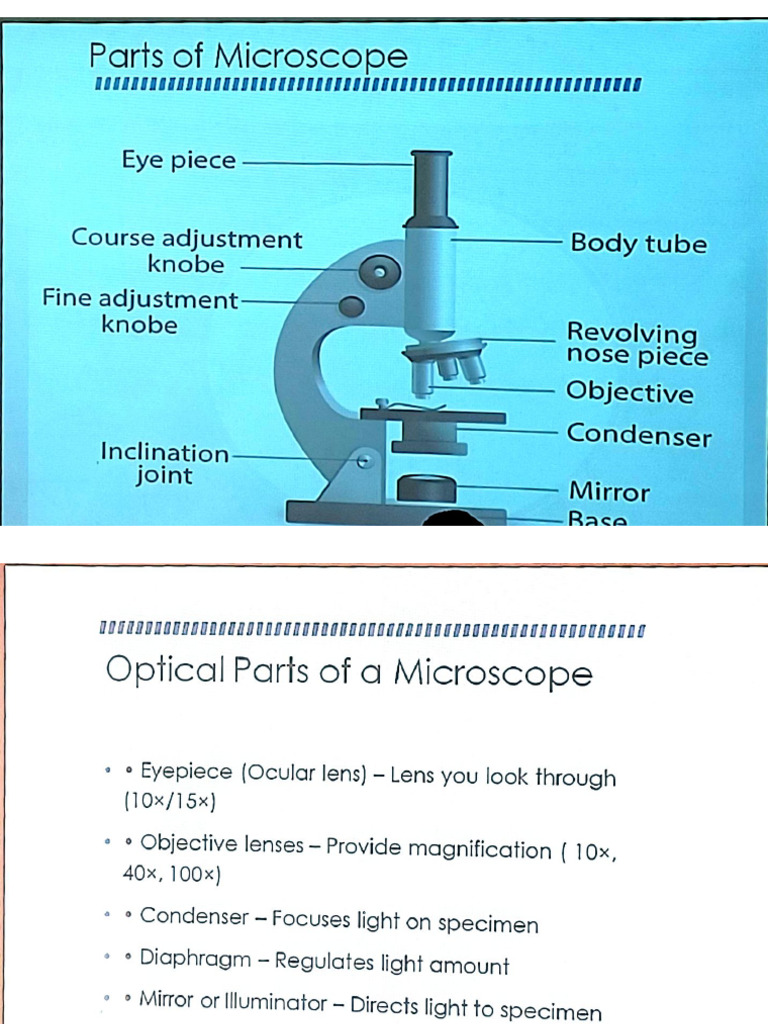 Microscope | PDF