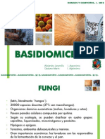 Basidiomicetos 2012-1 PDF