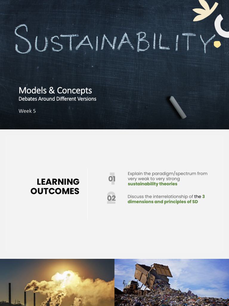 Sustainability Theories and Debates Explained | PDF | Sustainability ...