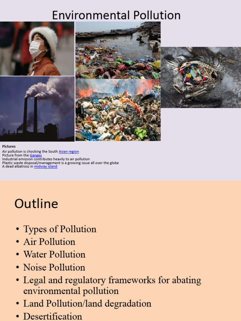 Types and Impacts of Environmental Pollution | PDF | Environmental ...