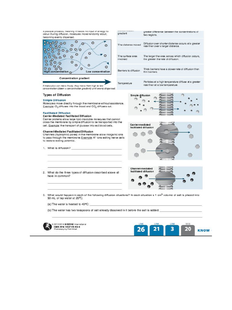 Diffusion | PDF