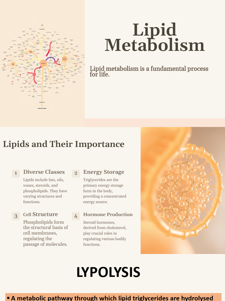 Lipid Metabolism - 251010 - 112106 | PDF | Fatty Acid | Lipid