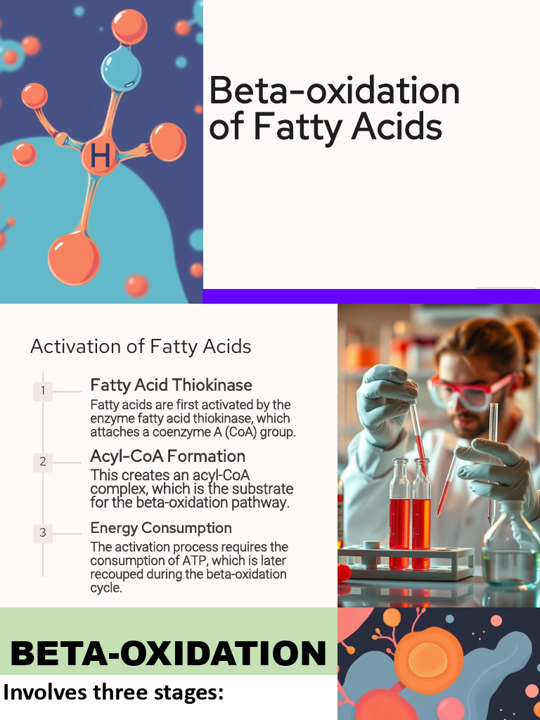 Ɓ-Oxidation of Fatty Acids - 251010 - 112106 | PDF | Adenosine ...