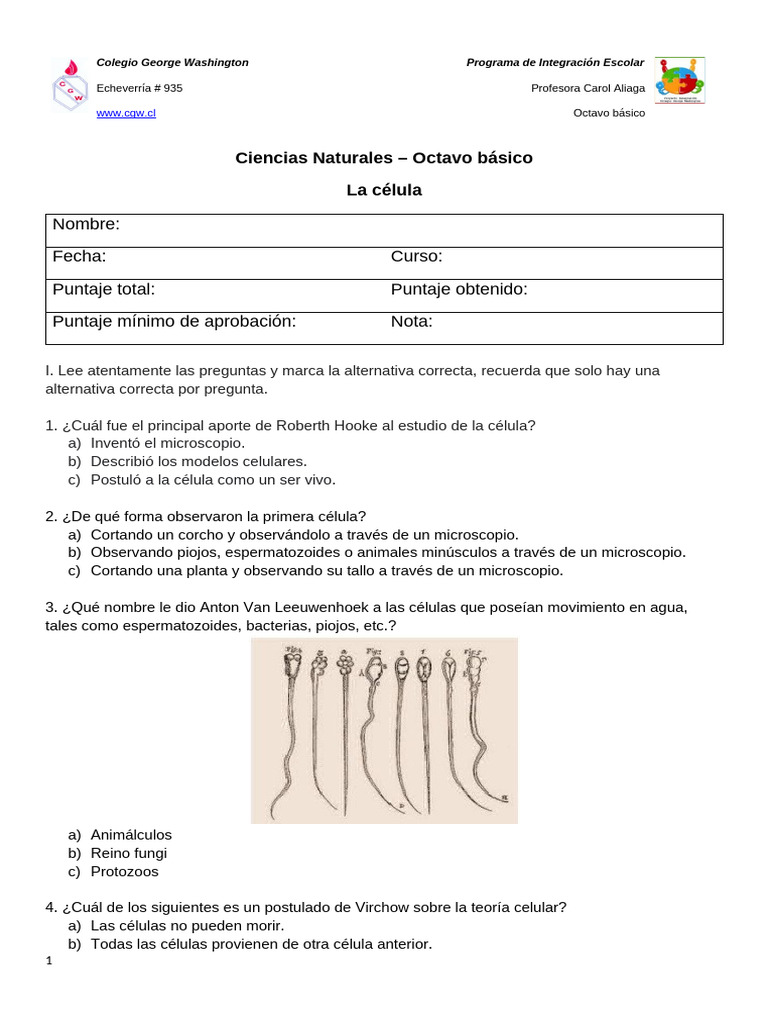 Preguntas sobre la célula para octavo básico | PDF | Biología Celular ...