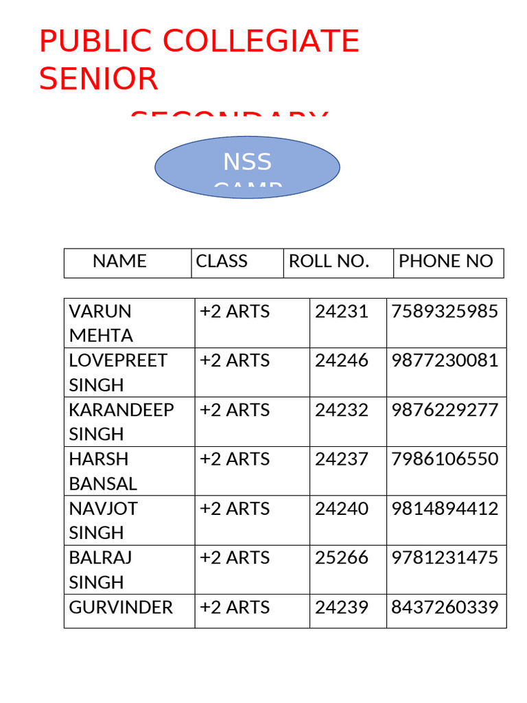 Public Collegiate Senior Secondary: NSS Camp | PDF