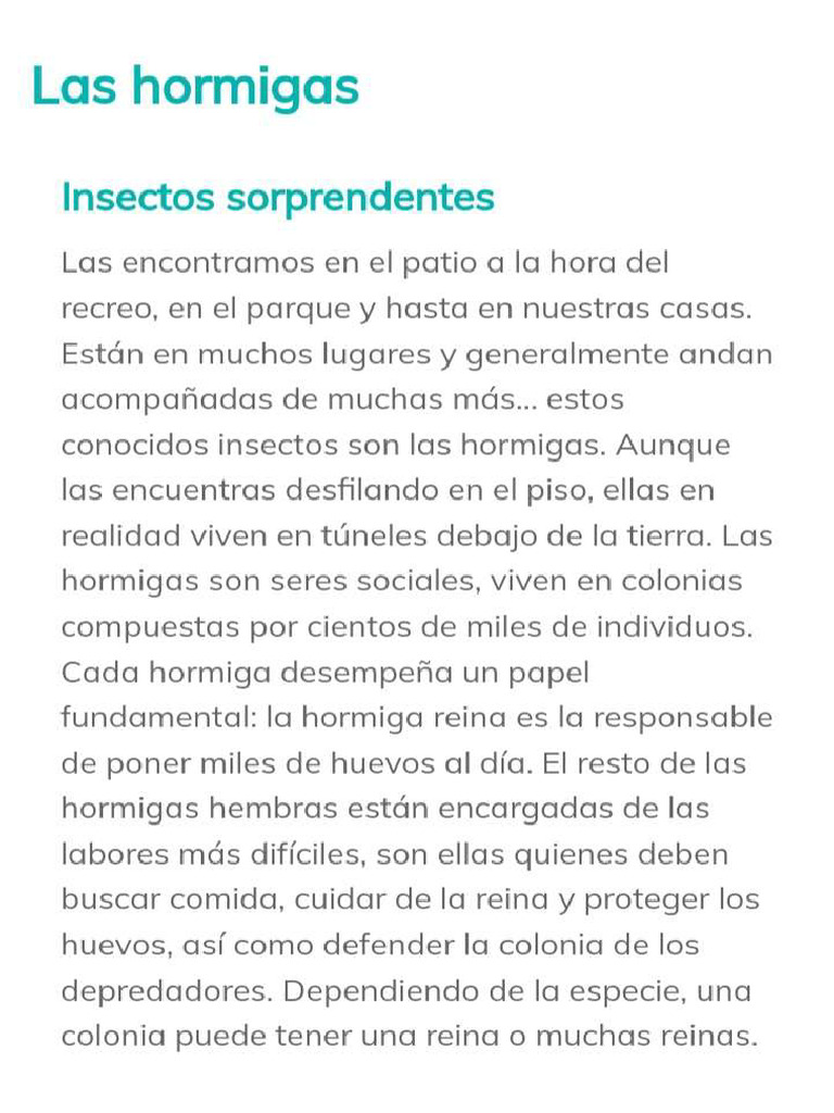 Los Insectos | PDF