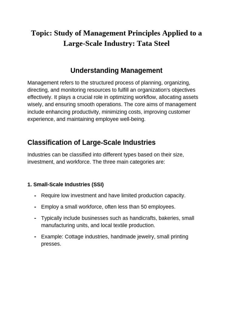 Management Principles in Tata Steel | PDF | Occupational Safety And ...