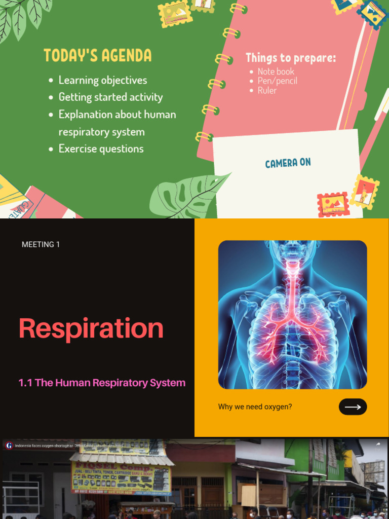 Understanding the Human Respiratory System | PDF | Respiratory System ...