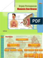 Pert 1 Organ An Manusia